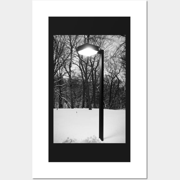 Wintry Incandenscence Wall Art by bobmeyers